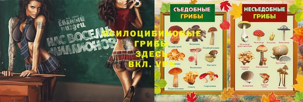 твердый Аркадак