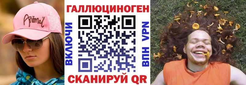закладки  Велиж  Псилоцибиновые грибы прущие грибы 